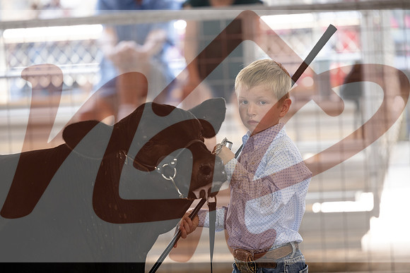 Aledo-040