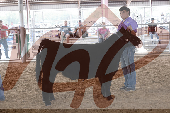 Aledo-087