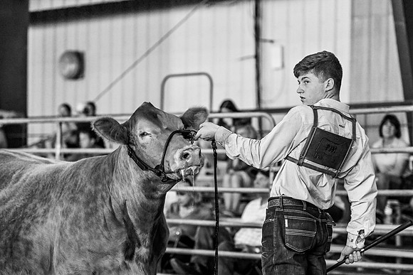 EB photorgraphy-44