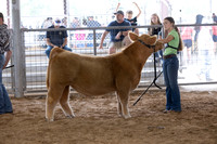 Aledo-002