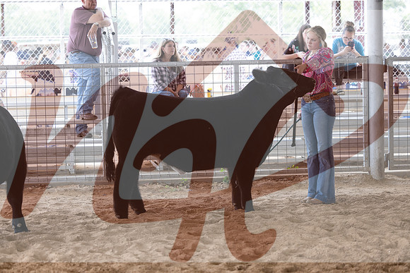 Aledo-091
