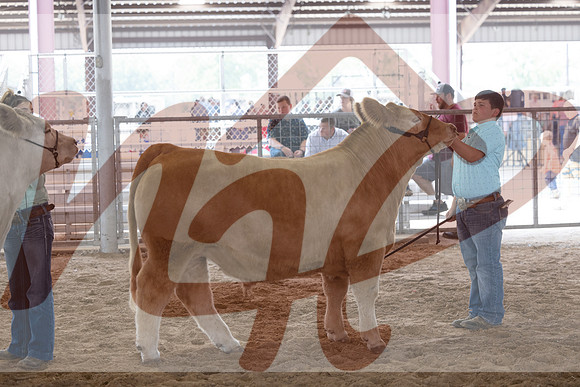 Aledo-073