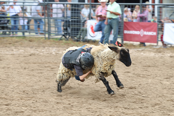 9C9A8642