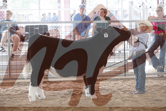 Aledo-027
