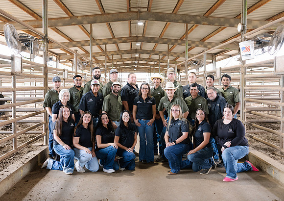 IBS-309