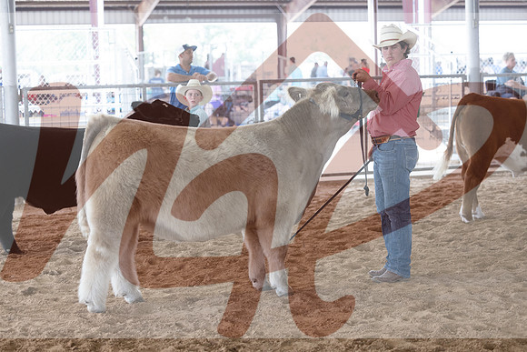 Aledo-054