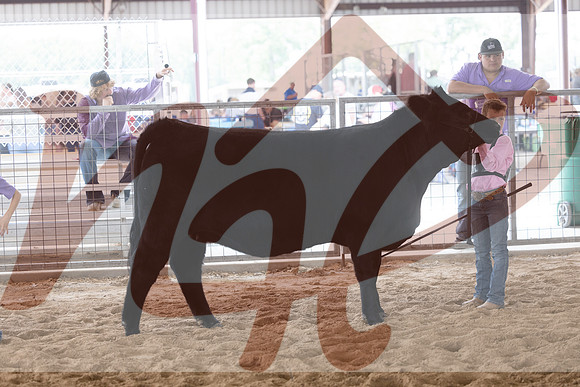 Aledo-045