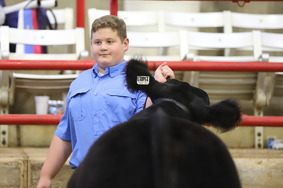 East Texas State Fair - Steer Show-015