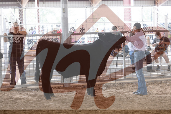 Aledo-082