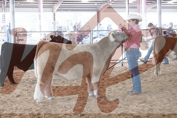 Aledo-056