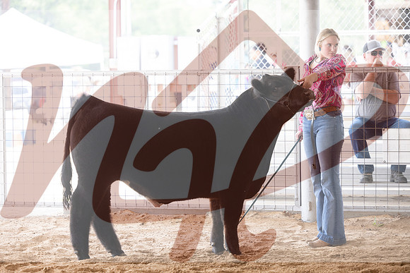 Aledo-096