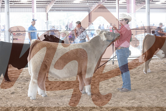 Aledo-055