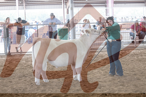 Aledo-142
