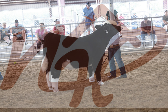 Aledo-114