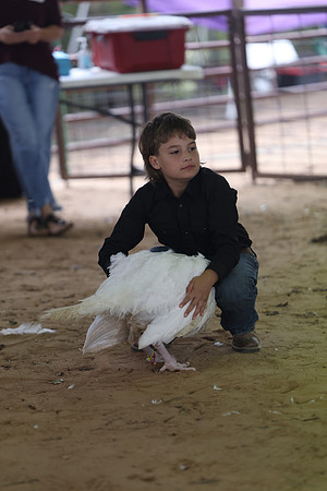 ACF 2026 Turkey-970