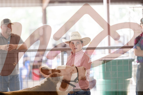 Aledo-011