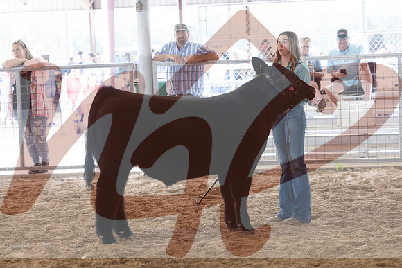 Aledo-119