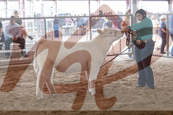 Aledo-066