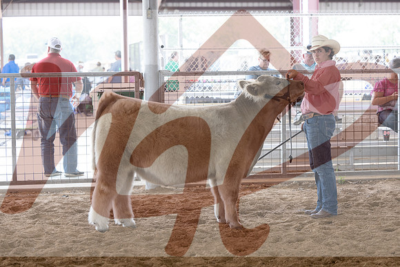 Aledo-102