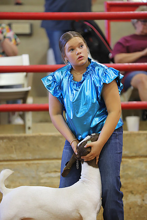 East Texas State Fair - Goat Show-134