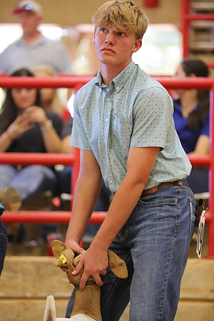 East Texas State Fair - Goat Show-078