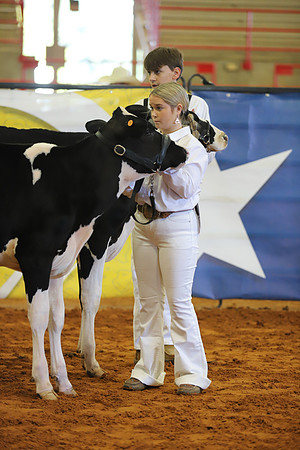 East Texas State Fair - Dairy Show-332