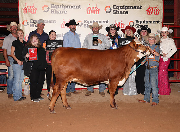 GrandChampionCommercialHeifer