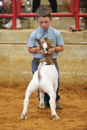 East Texas State Fair - Goat Showmanship-097