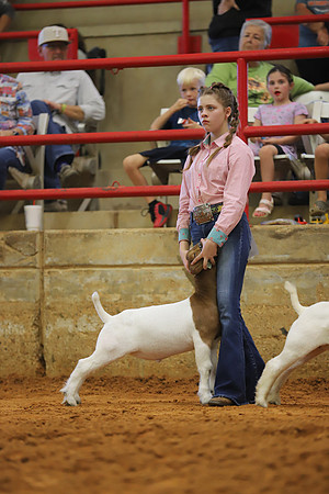 East Texas State Fair - Goat Showmanship-047
