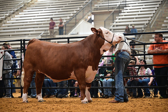 RCM_0256