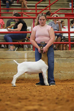 East Texas State Fair - Goat Showmanship-054