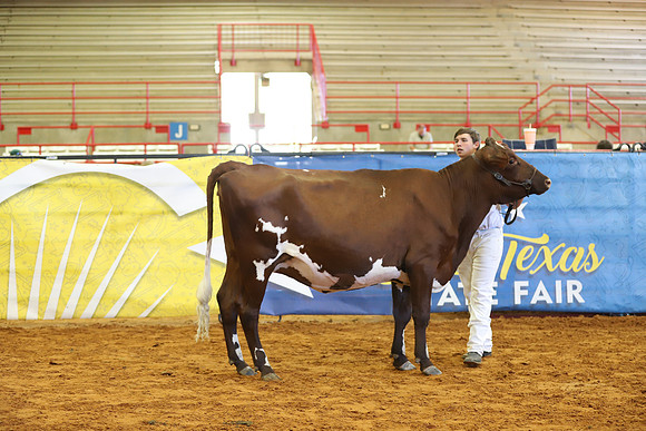 East Texas State Fair - Dairy Show-194