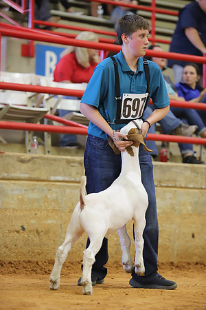 East Texas State Fair - Goat Show-065