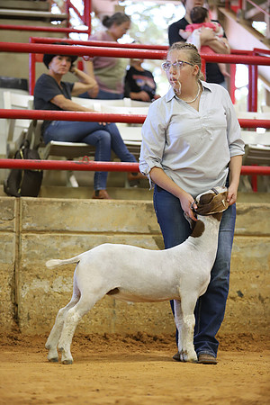 East Texas State Fair - Goat Show-045