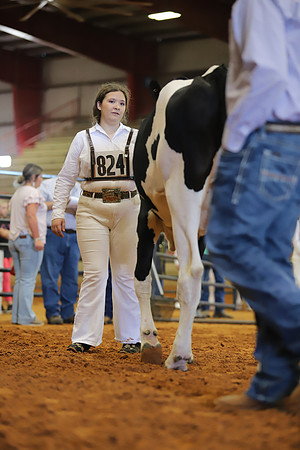 East Texas State Fair - Dairy Show-318