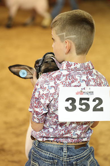 2L6A2514