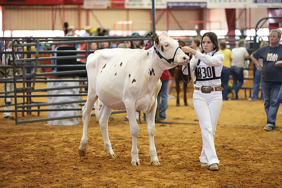 East Texas State Fair - Dairy Show-047
