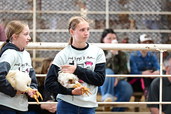 HNP_8998