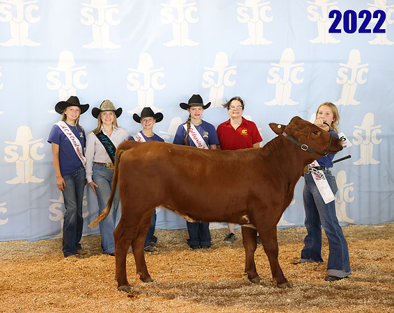 lot 155