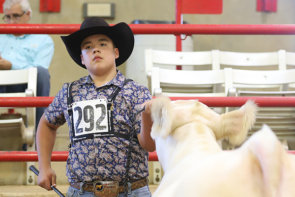 East Texas State Fair - Steer Show-030