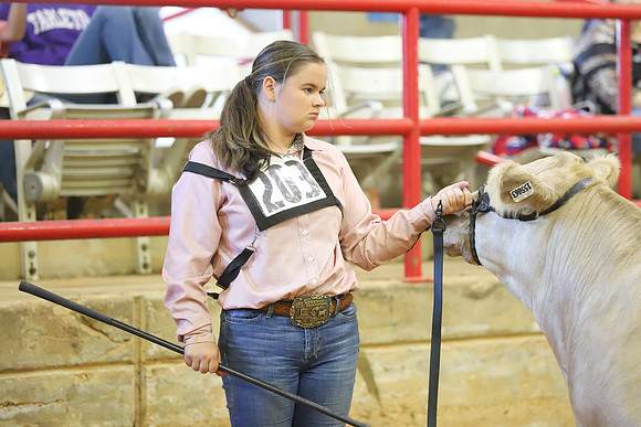 East Texas State Fair - Steer Show-047