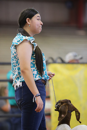 East Texas State Fair - Goat Show-128