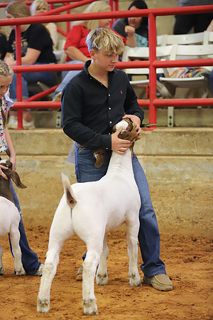 East Texas State Fair - Goat Showmanship-093