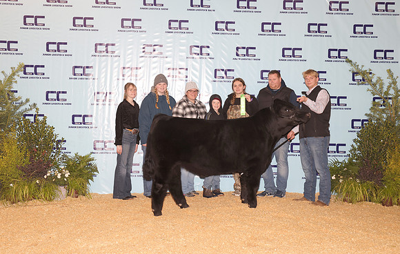 Cattle Backdrop 22