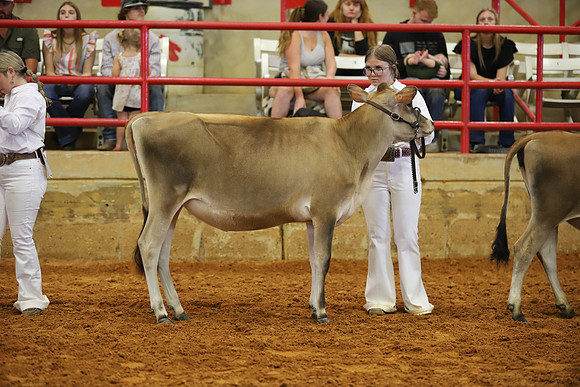 East Texas State Fair - Dairy Show-087