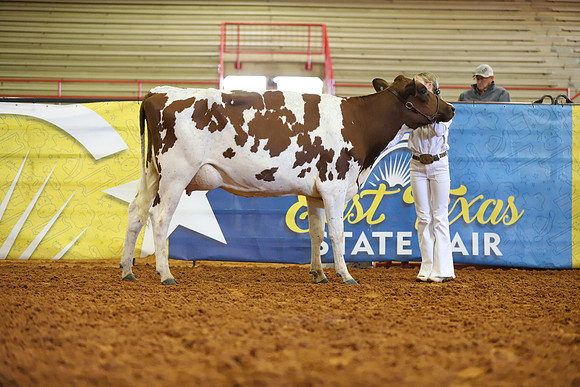 East Texas State Fair - Dairy Show-394