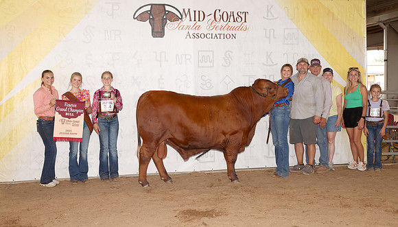 Midcoast 12
