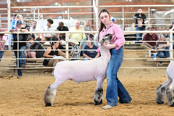 HNP_9699