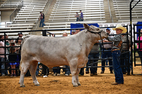 RCM_0326
