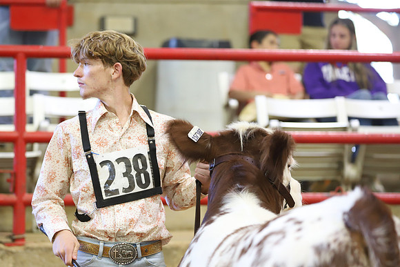 East Texas State Fair - Steer Show-058